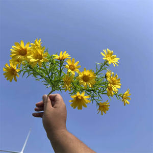 สไตล์สวนขนาดเล็กประดิษฐ์ผ้าไหมเดซี่ช่อดอกไม้ 5 สาขาเทียมเดซี่ดอกไม้บุช - Product Image 6