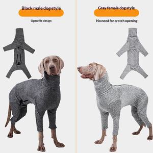 Vêtements de loisirs en polyester pour chiens et chats, base de chemise, collants, quatre pattes, toutes saisons - Product Image 4