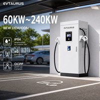 Station de recharge DC pour véhicules électriques commerciale et publique 60KW 120KW 160KW 240KW IP54 OCPP CCS GBT Chademo avec 4G WIFI
