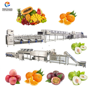 Línea de Procesamiento de Frutas Personalizada con Máquina de Lavado, Secado y Clasificación, Solución Completa para Planta de Limpieza y Clasificación de Frutas, 5 TPH - Product Image 1