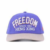 Gorra de Béisbol de Perfil Alto con Logotipo Bordado en 3D Personalizado al por Mayor, Estilo Estructurado de 5 Paneles, Diseño de Dos Tonos, Estilo Vintage Urbano