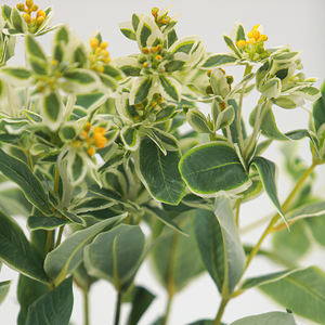 Feuilles de <span class=keywords><strong>Mimosa</strong></span> Artificielles de Haute Qualité en Gros avec Fleurs et Fruits Jaunes <span class=keywords><strong>pour</strong></span> Décoration Intérieure, Illustration et Décoration de Fête - Product Image 3