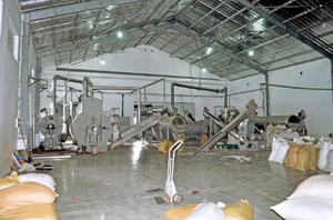 (ADAM) ALIMENTOS PARA ANIMALES DE ALTA CALIDAD DE VIETNAM/HARINA DE PESCADO/HECHO DE BAGRE CON ALTA PROTEÍNA Y PRECIO COMPETITIVO DE VIETNAM - Product Image 5