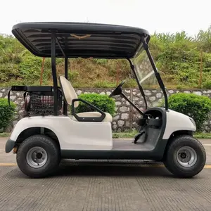 Wuling <span class=keywords><strong>2</strong></span> sièges 4kw Mini <span class=keywords><strong>Golf</strong></span> Buggy élégant plus rapide 48V batterie intelligent pas cher chariots de <span class=keywords><strong>Golf</strong></span> électriques pour terrain de <span class=keywords><strong>Golf</strong></span> Tianneng Simple - Product Image 5