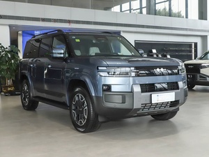 Equation Leopard Titanium 7 Nuovo SUV Automatico Turbo con Pneumatici R19 Benzina Guida a Sinistra Telecamera e Tetto Apribile Edizione Max - Product Image 3