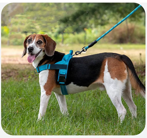 Arnés de Pecho Kangdarpet para Perros Medianos y Grandes, Correa Ajustable Antitirones para Paseos al Aire Libre - Product Image 6