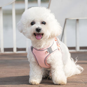 Jenis rompi Harness hewan peliharaan Mesh bernapas anjing kucing Harness tali traksi hewan peliharaan tali dada belakang - Product Image 6