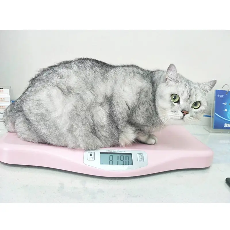 Smart Digital Vet Verwenden Sie Kleintier gewicht Messung Katzen hund Waage Haustier Waage