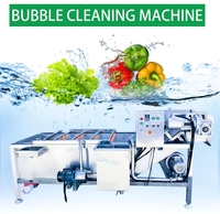 Professionele Sus304 aardappel-, cassave- en wortel-fritesverwerkingsinstallatie en oesterwasmachine