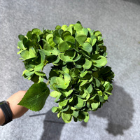 Groothandel 5 Vorken Groene Hortensia Kunstbloem Bulk Voor Bruiloft Home Decor