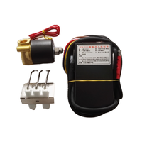 Unité de commande d'allumage au gaz 220-240V avec allumeur à étincelles et électrovanne, module d'allumage automatique à impulsions pour four