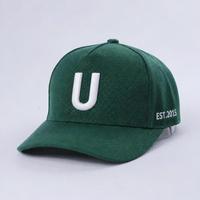 Gorra de Béisbol de Alta Calidad de 5 Paneles con Visera Curva, Gorra de Sarga de Algodón Verde, Estilo Deportivo Personalizado, Logotipo Bordado