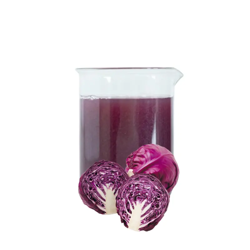 Brix 4 TA 0.1 aseptic bag drum 200kg Pure Natural Beverage drink raw material fruit Puree purple cabbage NFC juice original