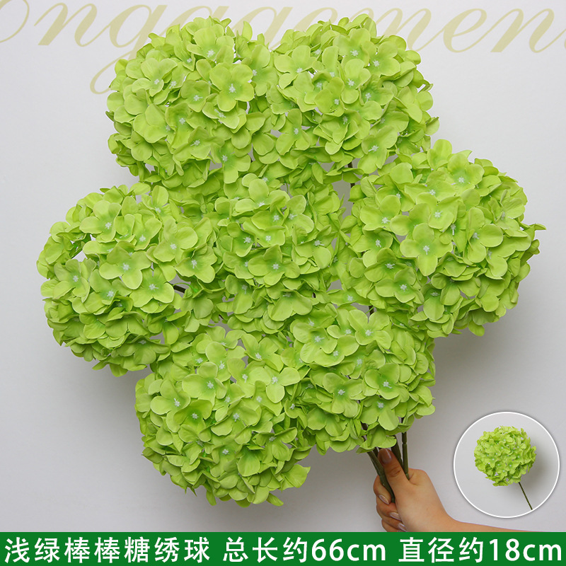 Branche d'hortensia sucette vert clair