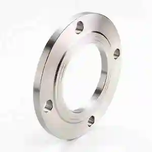 304 Stainless Steel Flanges Carbon Steel Welded Flange Forged Pipe Fittings Flange