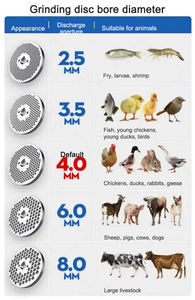 Machine à granulés à matrice plate pour l'alimentation animale, volailles, bétail, poulets, porcs, bovins, moutons - Product Image 6
