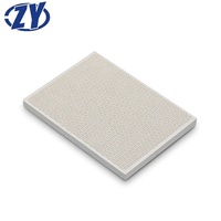 Plaque céramique aluminée en nid d'abeille pour extrudeuse à rayonnement infrarouge ZY 158-31mm, service de découpe 1300 pour brûleur à gaz, Jiangxi Chine