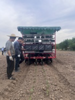 Trasplantadora de Vegetales de Alta Eficiencia, Máquina Sembradora de Plántulas, Trasplantadora para Tractor, para Chiles y Tomates, Distancia Ajustable
