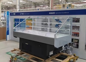 An Toàn Thương Mại Duy Nhất Nhiệt Độ Plug-Trong Ngực Tủ Đông Tủ Lạnh Cho Siêu Thị Thịt Lưu Trữ Bánh Trái Cây - Product Image 6