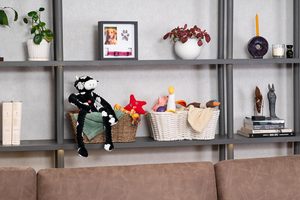 Regalos conmemorativos para perros Regalo <span class=keywords><strong>de</strong></span> pérdida <span class=keywords><strong>de</strong></span> mascotas Collar <span class=keywords><strong>de</strong></span> perro Marco <span class=keywords><strong>de</strong></span> fotos <span class=keywords><strong>de</strong></span> madera Marco <span class=keywords><strong>de</strong></span> imagen conmemorativo Recuerdo Caja <span class=keywords><strong>de</strong></span> <span class=keywords><strong>sombra</strong></span> para mascotas - Product Image 5
