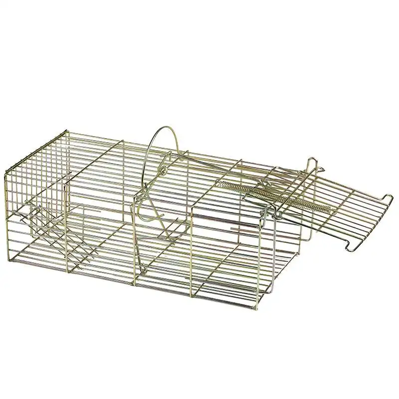 Produits de conception bon marché en gros pièges à mailles en fil de fer cages pour animaux de rat pour attraper des souris
