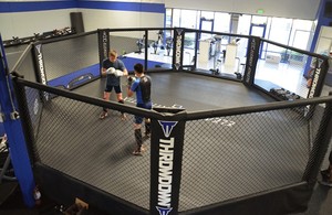 <span class=keywords><strong>Prix</strong></span> d'usine <span class=keywords><strong>Cage</strong></span> d'octogone MMA <span class=keywords><strong>UFC</strong></span> de norme internationale pour la compétition Logo personnalisé disponible - Product Image 4