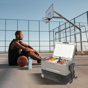 Freezer Portabel 12V 24V 220V 45L Kulkas Mini Freezer untuk Mobil Freezer Kulkas Perkemahan Luar Ruangan Karavan Camping - Product Image 6