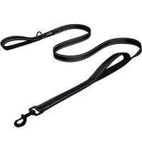Laisse Rétractable en Nylon Double Couche Épaissie Réfléchissante de 5m pour Animaux de Taille Moyenne à Grande – Modèle 2025 Tendance