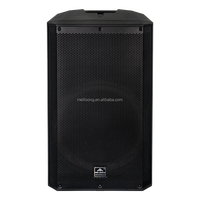 Enceinte audio portable active professionnelle puissante de 15 pouces en plastique avec Bluetooth DSP 800W et amplificateur de son surround