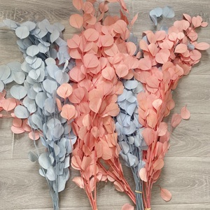 Paquete blanqueado de calidad AA de grado <span class=keywords><strong>eucalipto</strong></span> seco blanco rosa <span class=keywords><strong>azul</strong></span> <span class=keywords><strong>eucalipto</strong></span> de dólar de plata preservado para arreglo floral - Product Image 6