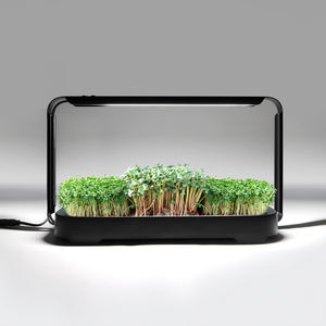 Hydroponic Watering Indoor Plant Growing Systems Home Use Planter Smart <strong>Microgreen</strong> System Kit with Grow Light - Product Image 1