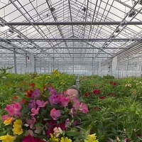 Serre en verre multi-voûtes Venlo avec structure galvanisée à chaud, kit complet pour serres commerciales de fleurs
