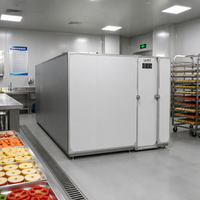 Industriële fruit- en groentedroger, voedseldrogerkast, droogapparatuur voor thuiskeuken en verwerking