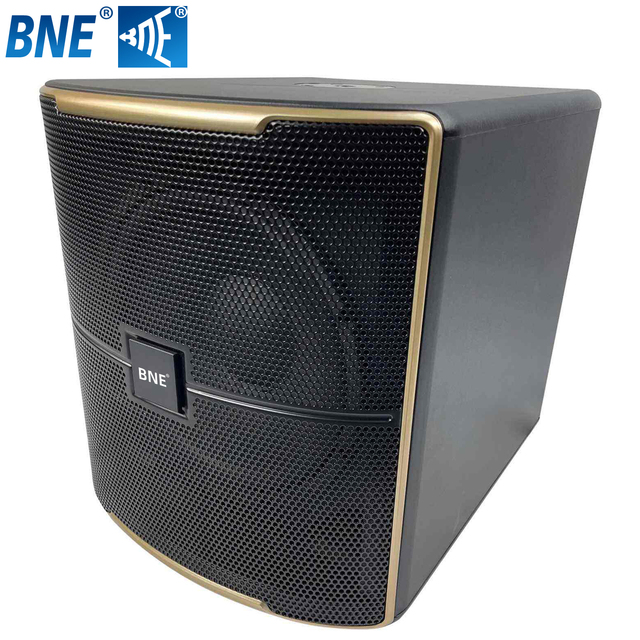Professional DJ Party Pasion12SP Powered Woofer Built-in DSP 12 Inch Karaoke High Power Active Subwoofer KTV Club Woofer Speaker