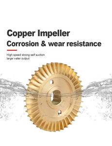 <span class=keywords><strong>Pompe</strong></span> de surpression à démarrage et arrêt automatiques, directement de l'usine, divers modèles pour chauffe-eau, douche, usage domestique - Product Image 5