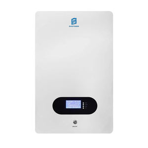 51.2v100ah壁掛け式バッテリーホーム太陽エネルギー貯蔵ソリューションパワーウォールリチウムLiFePO4バッテリー5kwh - Product Image 2