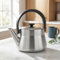 Bouilloire sifflante en acier inoxydable 2026, compatible induction, sans PFAS, écologique, 3L, pour thé, moderne, autre appareil de cuisine
