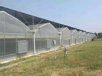 Chine Usine Vente Directe 10*50m Pas Cher Dôme Forme Serre Multi Span Tunnel Serre Pour L'agriculture Tomate Fraise