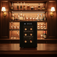Réfrigérateur portable pour la maison, cave à vin pour 6 bouteilles, refroidisseur à vin, cuisine, bureau, refroidisseur à vin