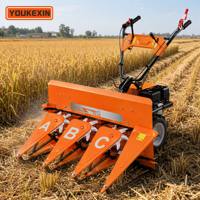 Faucheuse-ensileuse portée à haute efficacité pour luzerne, qualité supérieure pour petites exploitations agricoles, vente en gros usine de machines agricoles