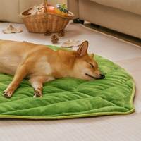 Coussin court en peluche en forme de feuille pour chien, tapis pliable respirant et moderne pour animaux de compagnie, motif uni pour le repos et le sommeil