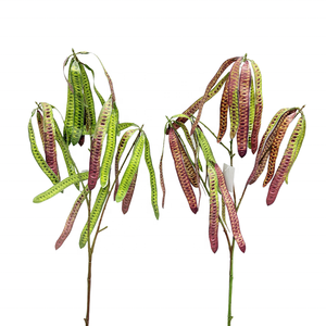 Cabang Daun Leucaena Buatan Panjang 79cm Grosir Cabang Daun Leucaena Plastik