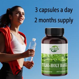 Capsules de basilic sacré biologique OEM/ODM - Complément alimentaire à base de feuilles de basilic sacré, complément à base de plantes, soutien immunitaire, végétalien, biologique - Product Image 4