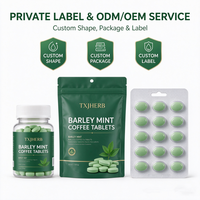 Tablet Permen Kopi Barley Mint Label Pribadi, Tablet Penyegar Energi Xylitol Bebas Gula, Tanpa Pewarna Buatan, Tanpa Perisa Buatan