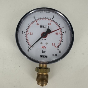 מד לחץ צינור בורדון דגם 111.10 ו-111.12 מארז פלסטיק ABS או פלדה צבועה סדרה סטנדרטית - התקנה תחתונה - Product Image 4