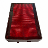 Lit gonflable de luminothérapie rouge intégrale 130W, tapis de thérapie LED 660nm 850nm, lit de récupération infrarouge proche pour spa à domicile et bien-être