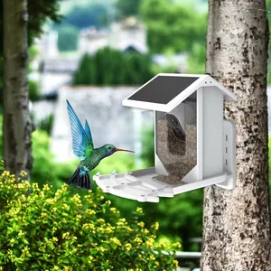 Vente en gros caméra Wifi extérieure pour animaux sauvages Capture d'images vidéo AI Reconnaître les espèces d'oiseaux Mangeoire intelligente pour oiseaux avec caméra pour jardin