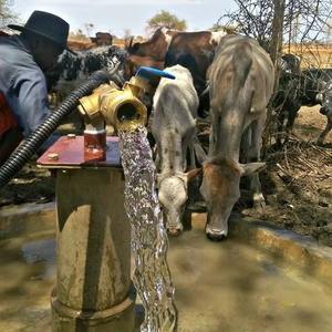 <span class=keywords><strong>3</strong></span> ngựa điện năng lượng mặt trời Máy bơm nước AC / DC Máy bơm nước 100 Meter đầu năng lượng mặt trời hệ thống máy bơm nước - Product Image 6