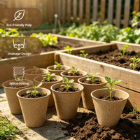 Pot de semis en papier kraft de taille moyenne, en fibre de coque de riz de qualité agricole, pour une manipulation sécurisée en classe, idéal pour le jardinage biologique et l'agriculture économe en eau
