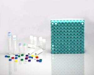 RNase DNase tubi crioviali Vail criogenici autoportanti con tappo a vite Non sterili - Product Image 6